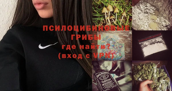 соль курить ск Верея