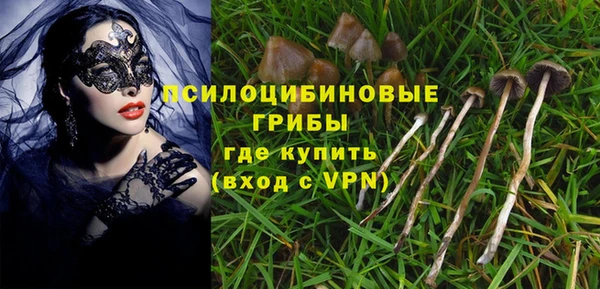соль курить ск Верея