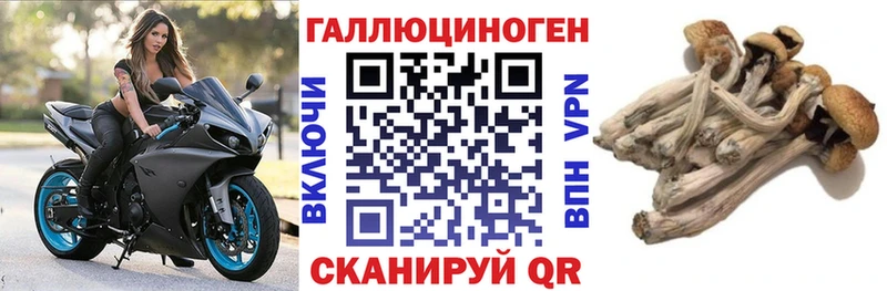 Псилоцибиновые грибы GOLDEN TEACHER  Нерюнгри 